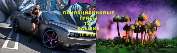 прущие грибы Армянск