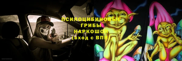 прущие грибы Армянск