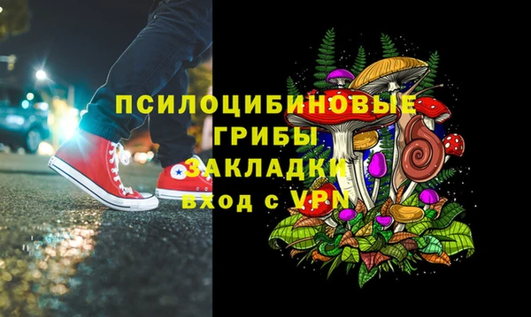 стаф Арсеньев