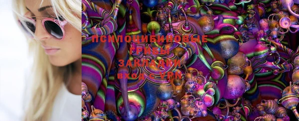 прущие грибы Армянск