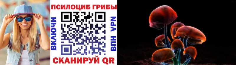 Галлюциногенные грибы прущие грибы нарко площадка Telegram Воткинск